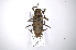  ( - INB0003341645)  @11 [ ] Copyright (2012) A. Solis Instituto Nacional de Biodiversidad