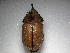  ( - INB0003366538)  @13 [ ] Copyright (2010) A. Solis Unspecified