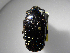  ( - INB0003379590)  @12 [ ] Copyright (2010) A. Solis Unspecified