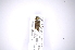  ( - INB0003430498)  @11 [ ] Copyright (2012) A. Solis Instituto Nacional de Biodiversidad