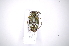  ( - INB0003566863)  @11 [ ] Copyright (2012) A. Solis Instituto Nacional de Biodiversidad