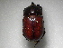 ( - INB0003748240)  @11 [ ] Copyright (2010) A. Solis Unspecified