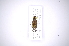  ( - INB0003824663)  @11 [ ] Copyright (2012) A. Solis Instituto Nacional de Biodiversidad