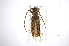  ( - INB0003835105)  @11 [ ] Copyright (2012) A. Solis Instituto Nacional de Biodiversidad