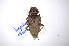  ( - INB0003895961)  @11 [ ] Copyright (2012) A. Solis Instituto Nacional de Biodiversidad