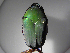  ( - INB0003968687)  @13 [ ] Copyright (2010) A. Solis Unspecified