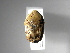  (Hoplopyga ocellata - INB0004165235)  @11 [ ] Copyright (2010) A. Solis Unspecified