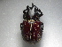  ( - INB0004165273)  @12 [ ] Copyright (2010) A. Solis Unspecified