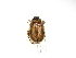  ( - INB0004172087)  @11 [ ] Copyright (2012) A. Solis Instituto Nacional de Biodiversidad