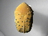  ( - INB0004183776)  @12 [ ] Copyright (2010) A. Solis Unspecified