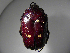  (Chiriquibia - INB0004210015)  @11 [ ] Copyright (2010) A. Solis Unspecified
