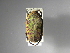  ( - INBIOCRI000057742)  @11 [ ] Copyright (2010) A. Solis Unspecified