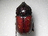  ( - INBIOCRI000265243)  @13 [ ] Copyright (2010) A. Solis Unspecified