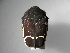  ( - INBIOCRI000375817)  @13 [ ] Copyright (2010) A. Solis Unspecified