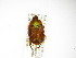  ( - INBIOCRI000413485)  @12 [ ] Copyright (2012) A. Solis Instituto Nacional de Biodiversidad