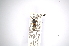  ( - INBIOCRI000590315)  @11 [ ] Copyright (2012) A. Solis Instituto Nacional de Biodiversidad