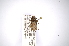  ( - INBIOCRI000840502)  @11 [ ] Copyright (2012) A. Solis Instituto Nacional de Biodiversidad