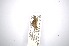  ( - INBIOCRI000883211)  @11 [ ] Copyright (2012) A. Solis Instituto Nacional de Biodiversidad
