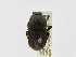  ( - INBIOCRI000919375)  @12 [ ] Copyright (2010) A. Solis Instituto Nacional de Biodiversidad
