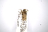  ( - INBIOCRI000976998)  @12 [ ] Copyright (2012) A. Solis Instituto Nacional de Biodiversidad