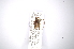 ( - INBIOCRI000994420)  @12 [ ] Copyright (2012) A. Solis Instituto Nacional de Biodiversidad