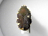  ( - INBIOCRI001160917)  @13 [ ] Copyright (2010) A. Solis Unspecified