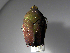  ( - INBIOCRI001169636)  @13 [ ] Copyright (2010) A. Solis Unspecified