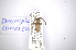  ( - INBIOCRI001183624)  @12 [ ] Copyright (2012) A. Solis Instituto Nacional de Biodiversidad