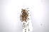  ( - INBIOCRI001291293)  @12 [ ] Copyright (2012) A. Solis Instituto Nacional de Biodiversidad