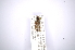  ( - INBIOCRI001308255)  @12 [ ] Copyright (2012) A. Solis Instituto Nacional de Biodiversidad