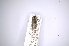  ( - INBIOCRI001309846)  @12 [ ] Copyright (2012) A. Solis Instituto Nacional de Biodiversidad