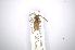  ( - INBIOCRI001335467)  @12 [ ] Copyright (2012) A. Solis Instituto Nacional de Biodiversidad