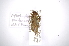  ( - INBIOCRI001355610)  @13 [ ] Copyright (2012) A. Solis Instituto Nacional de Biodiversidad