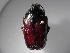  (Amithao metallicum - INBIOCRI001392209)  @14 [ ] Copyright (2010) A. Solis Unspecified