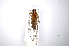  ( - INBIOCRI001630325)  @12 [ ] Copyright (2012) A. Solis Instituto Nacional de Biodiversidad