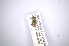  ( - INBIOCRI001729689)  @11 [ ] Copyright (2012) A. Solis Instituto Nacional de Biodiversidad
