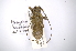  ( - INBIOCRI001751525)  @14 [ ] Copyright (2012) A. Solis Instituto Nacional de Biodiversidad