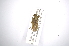  ( - INBIOCRI001780789)  @11 [ ] Copyright (2012) A. Solis Instituto Nacional de Biodiversidad
