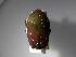  ( - INBIOCRI001861573)  @13 [ ] Copyright (2010) A. Solis Unspecified
