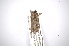  ( - INBIOCRI001899941)  @13 [ ] Copyright (2012) A. Solis Instituto Nacional de Biodiversidad