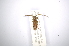  ( - INBIOCRI001913593)  @12 [ ] Copyright (2012) A. Solis Instituto Nacional de Biodiversidad