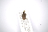  ( - INBIOCRI001931255)  @11 [ ] Copyright (2012) A. Solis Instituto Nacional de Biodiversidad