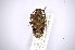  ( - INBIOCRI001954512)  @13 [ ] Copyright (2012) A. Solis Instituto Nacional de Biodiversidad