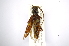 ( - INBIOCRI001982041)  @11 [ ] Copyright (2012) A. Solis Instituto Nacional de Biodiversidad
