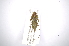  ( - INBIOCRI001991891)  @11 [ ] Copyright (2012) A. Solis Instituto Nacional de Biodiversidad