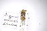  ( - INBIOCRI001992080)  @11 [ ] Copyright (2012) A. Solis Instituto Nacional de Biodiversidad