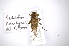  ( - INBIOCRI002191836)  @13 [ ] Copyright (2012) A. Solis Instituto Nacional de Biodiversidad