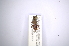 ( - INBIOCRI002191893)  @12 [ ] Copyright (2012) A. Solis Instituto Nacional de Biodiversidad
