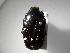  ( - INBIOCRI002203136)  @11 [ ] Copyright (2010) A. Solis Unspecified