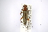  ( - INBIOCRI002245654)  @13 [ ] Copyright (2012) A. Solis Instituto Nacional de Biodiversidad